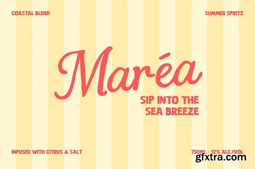 CreativeMarket - Costa Brisa Retro Summer Font Duo