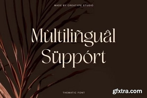 CreativeMarket - Thematic Luxury Display Serif