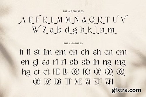 CreativeMarket - Thematic Luxury Display Serif