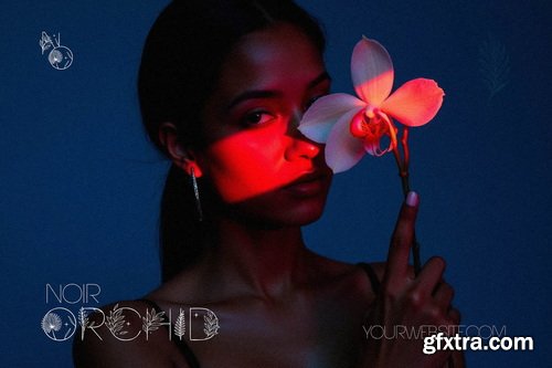 Tropic Summer Botanical Luxury Display Font