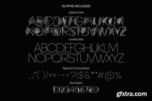 Tropic Summer Botanical Luxury Display Font