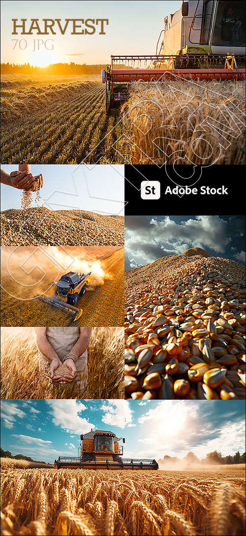 Harvest 70xJPG