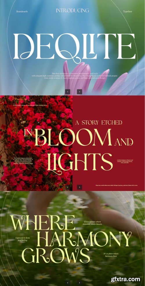 Deqlite Hand Serif Font