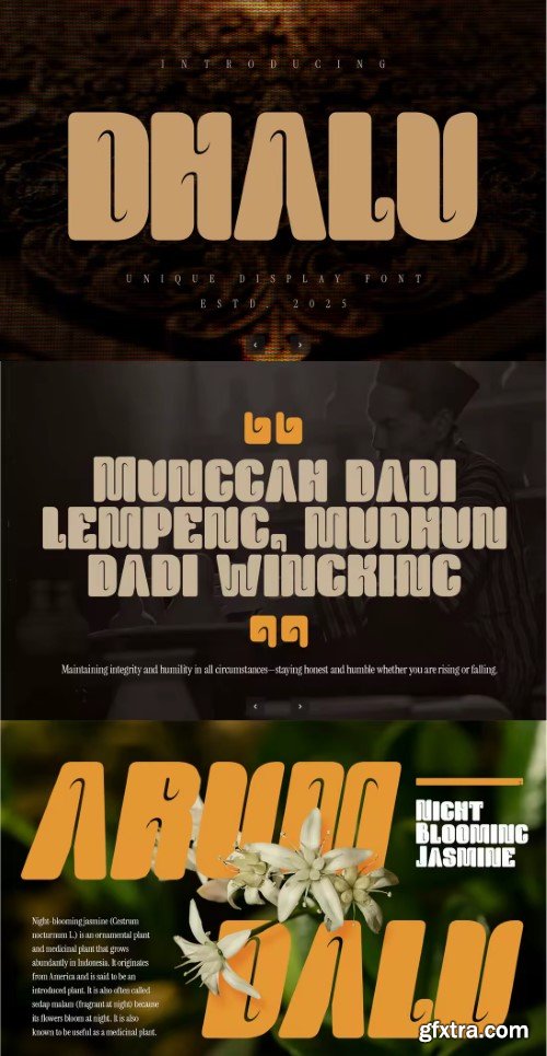 Dhalu - Display Sans Font