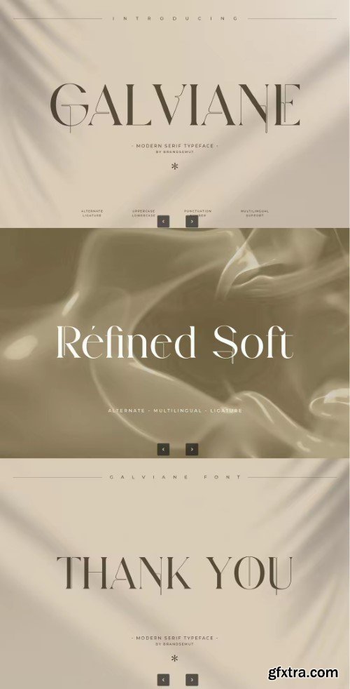Galviane – Artistic Modern Serif Font