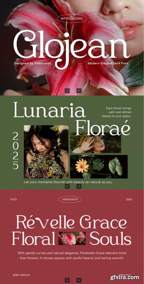 Creativemarket - Glojean Modern Elegant Serif Font