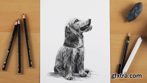 Udemy - Drawing Made Clear: From Sketch To Realistic Animals