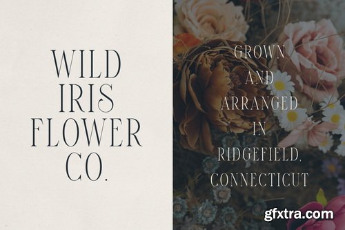 CreativeMarket - Elantrae Elegant Modern Serif Font