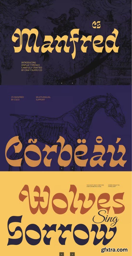 Creativemarket - Manfred – Reverse Contrast Font