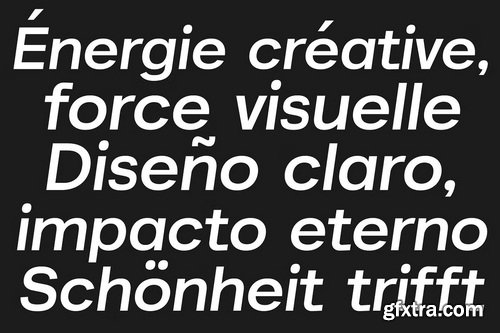 CreativeMarket - Akmorn Grotesque Font