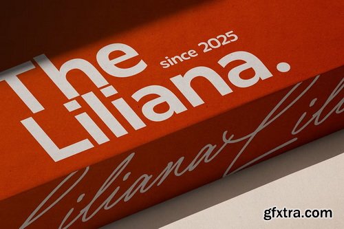 CreativeMarket - Moonlith February Elegant Font Duo