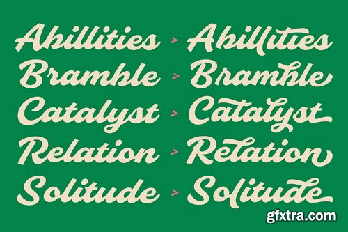 CreativeMarket - Slideback Bold & Stylish Script