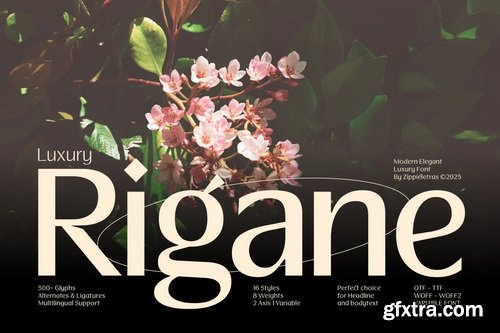 Luxury Rigane Modern Elegant Sans Serif Font
