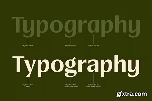 Luxury Rigane Modern Elegant Sans Serif Font