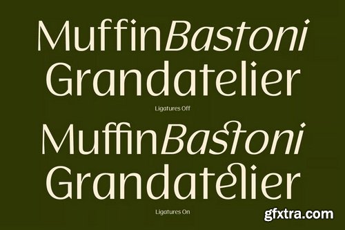 Luxury Rigane Modern Elegant Sans Serif Font
