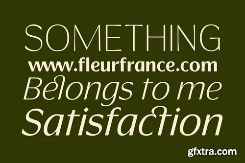 Luxury Rigane Modern Elegant Sans Serif Font