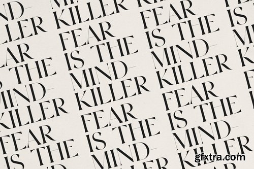 CreativeMarket - OZAAN A Sophisticated Modern Serif