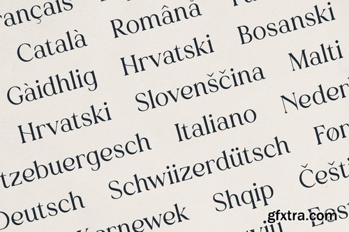 CreativeMarket - Vurnia – Elegant Serif Font