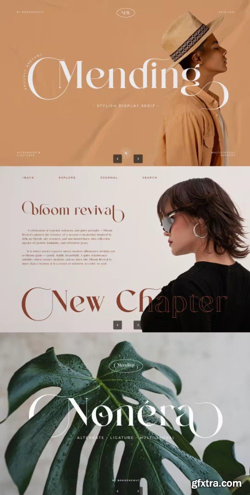 Creativemarket - Mending – Stylish Display Serif Font