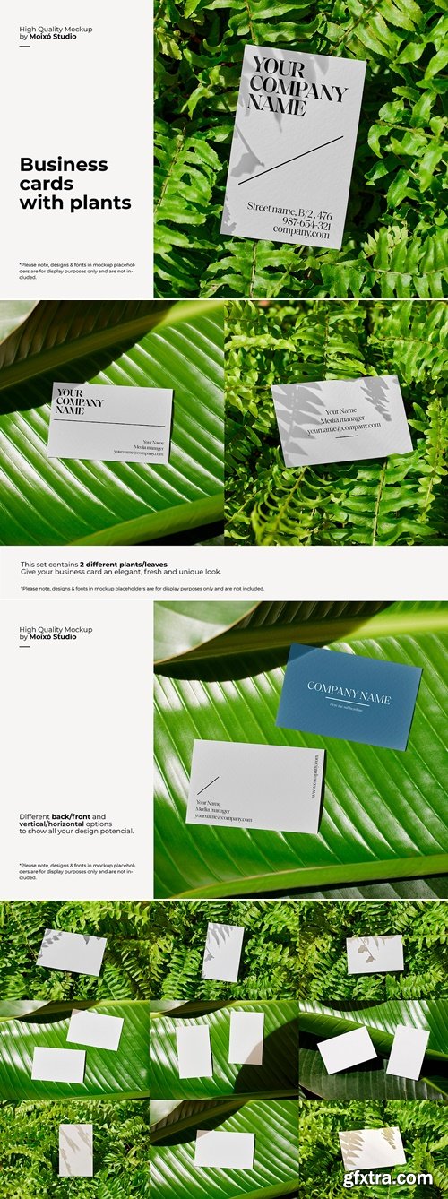 CreativeMarket - Business Card Mockup With Plants Set 92554088