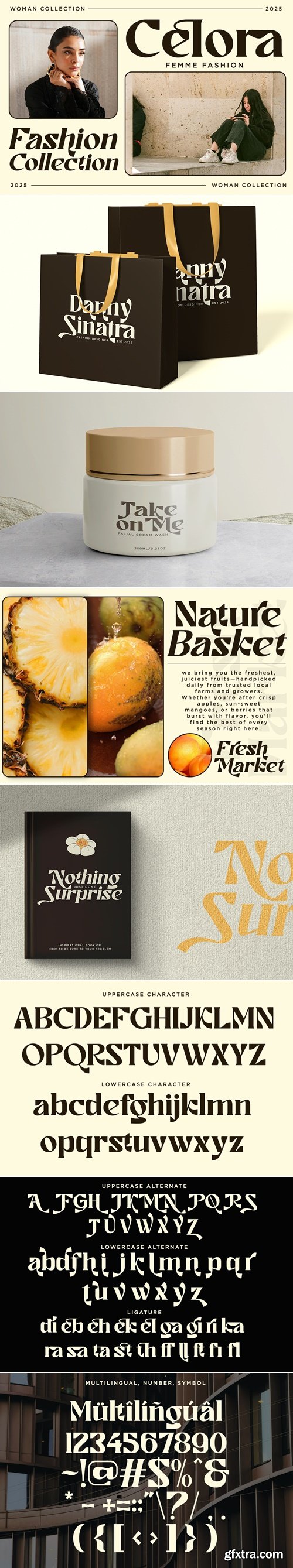 CreativeMarket - Ronikel - Modern Serif Font