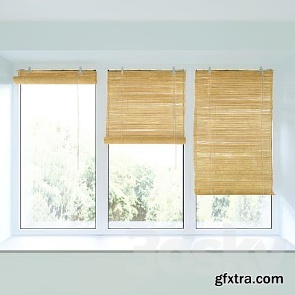 3dsky Pro - Bamboo roll blind and plastic window