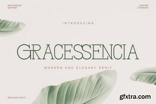 CreativeMarket - Gracessencia Modern Elegant Luxury