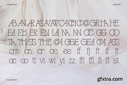 CreativeMarket - Gracessencia Modern Elegant Luxury