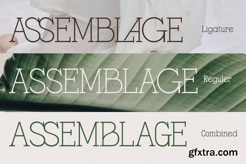 CreativeMarket - Gracessencia Modern Elegant Luxury
