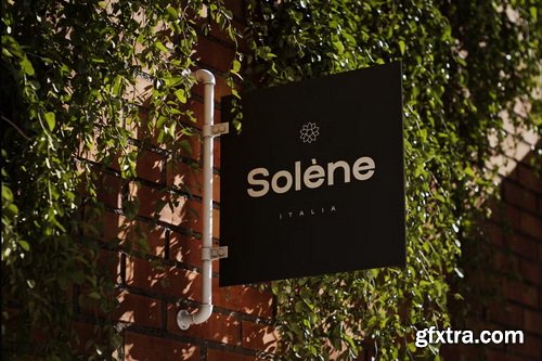 CreativeMarket - Olive Modern and Minimal Sans