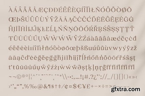 CreativeMarket - Merlan Modern Serif Font