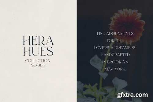 CreativeMarket - Evalinor A Modern Serif Font