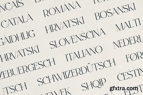 CreativeMarket - Evalinor A Modern Serif Font