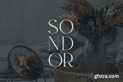 CreativeMarket - Evalinor A Modern Serif Font