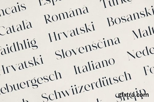 CreativeMarket - Morlique Serif Font