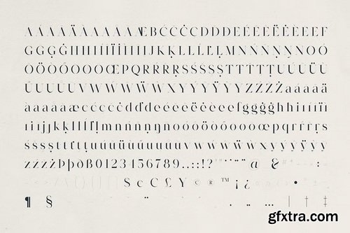 CreativeMarket - Morlique Serif Font