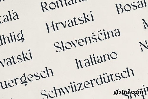 CreativeMarket - Vellumo Elegant Serif Font