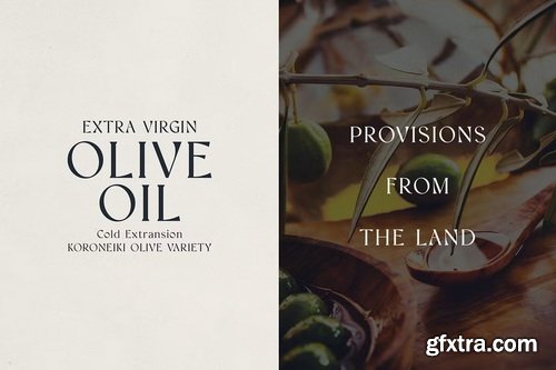 CreativeMarket - Vellumo Elegant Serif Font