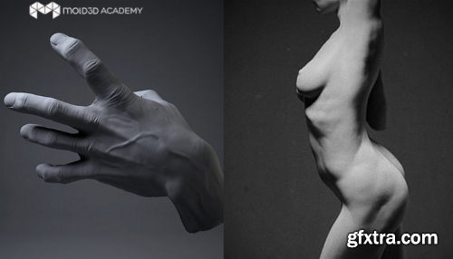 Mold 3D Academy - Artistic Anatomy - Daniel Crossland