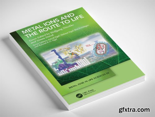 Metal Ions and the Route to Life