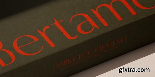 MyFonts - Porte Neue Font Family 7xOTF