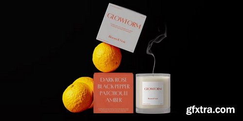 MyFonts - Porte Neue Font Family 7xOTF