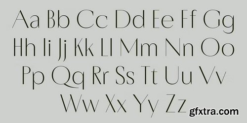 MyFonts - Porte Neue Font Family 7xOTF