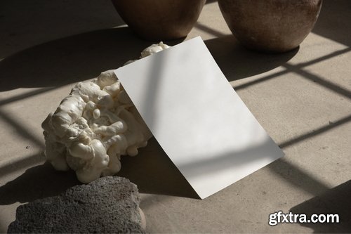 Artdirected Design Mockup Collections