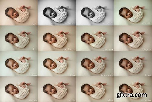 Meadow and Ash - Honey Collection Newborn Presets