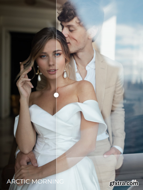 Zhenya Swan Presets - Metallic Blues