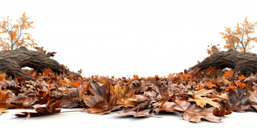 Autumn Falling Leaves 24xPNG, 1xAI