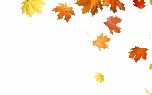 Autumn Falling Leaves 24xPNG, 1xAI