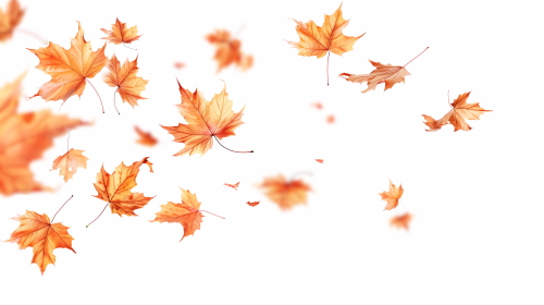 Autumn Falling Leaves 24xPNG, 1xAI