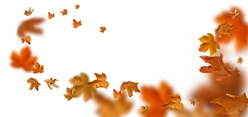 Autumn Falling Leaves 24xPNG, 1xAI